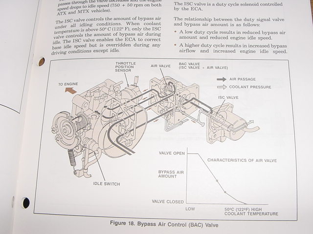 DSC01762.JPG